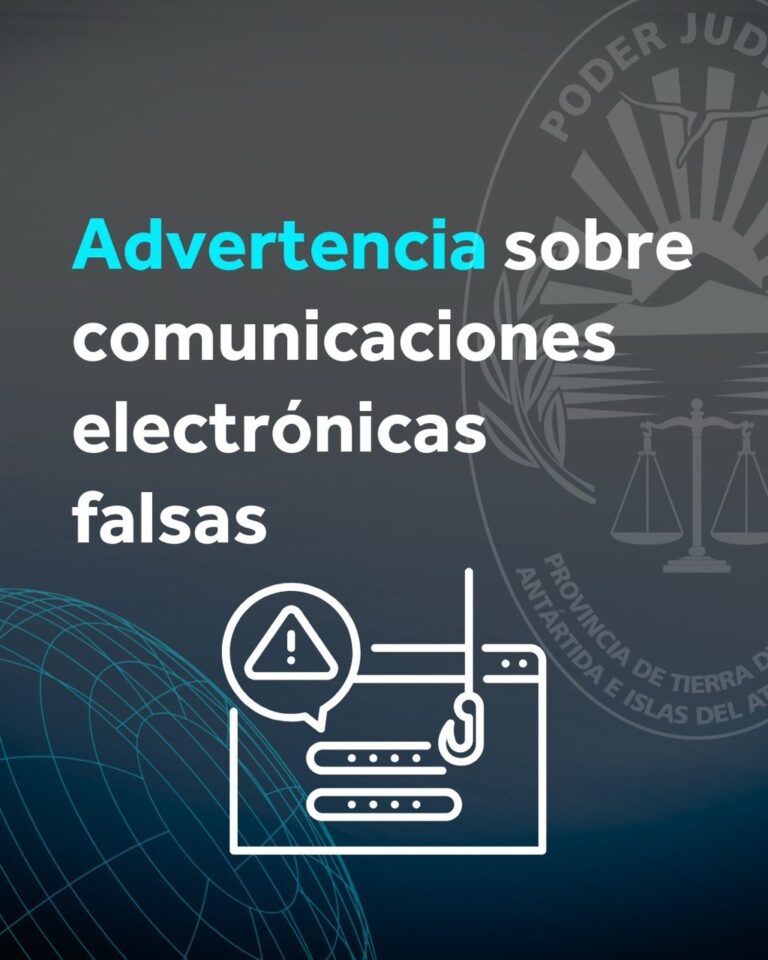 photo_2026-02-11_10-58-14