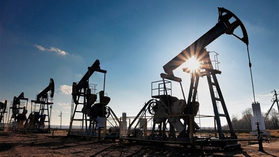 petroleo